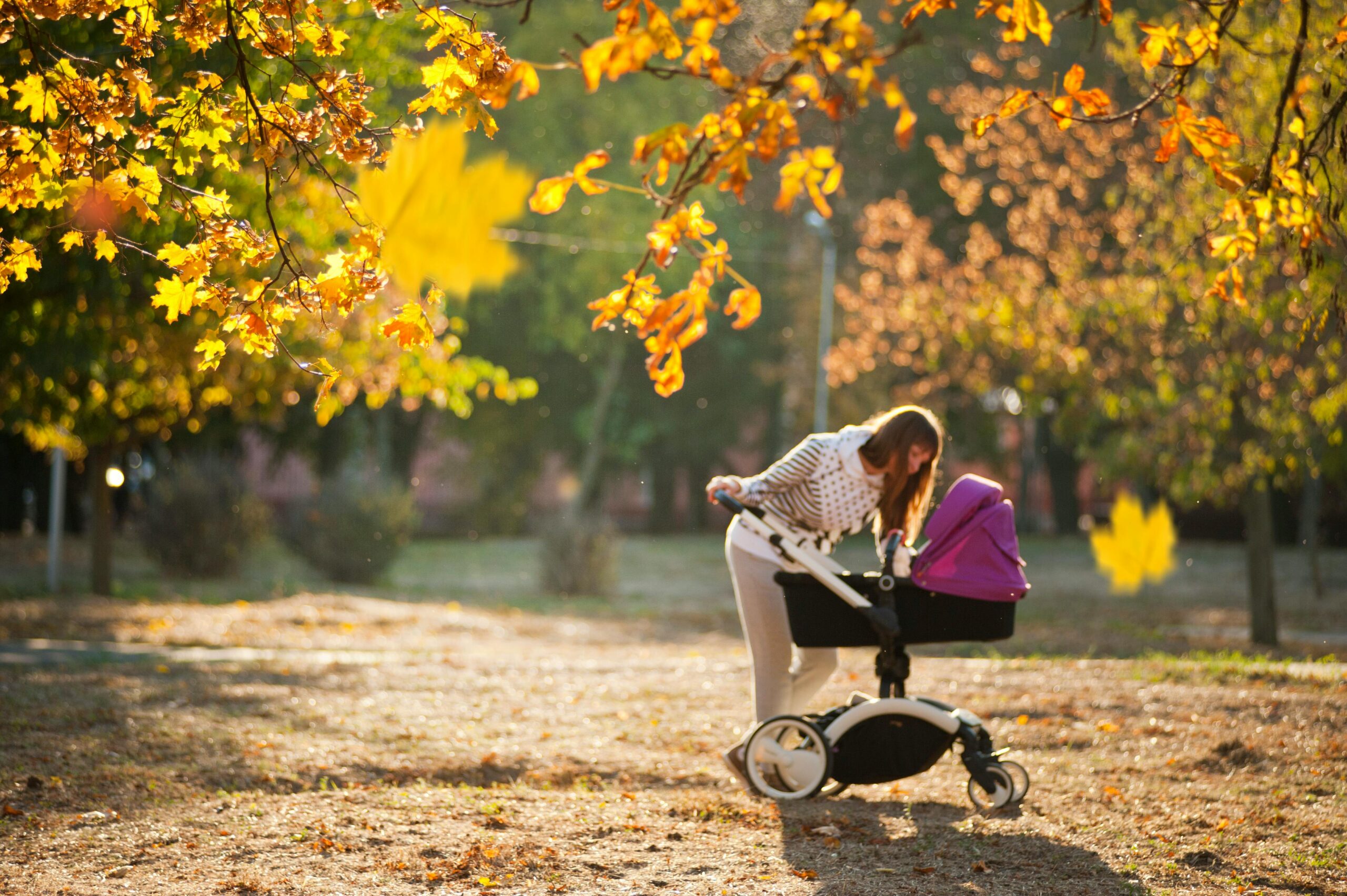 Travel Stroller